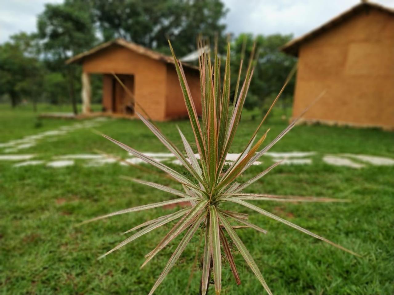 Recanto Do Baru Pirenópolis Exteriér fotografie