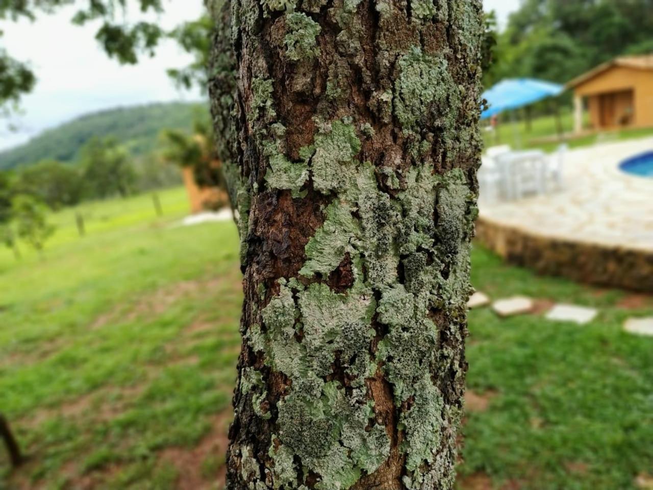 Recanto Do Baru Pirenópolis Exteriér fotografie